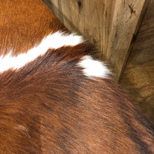 Load image into Gallery viewer, Bespoke Chestnut Cowhide Two Person Bench